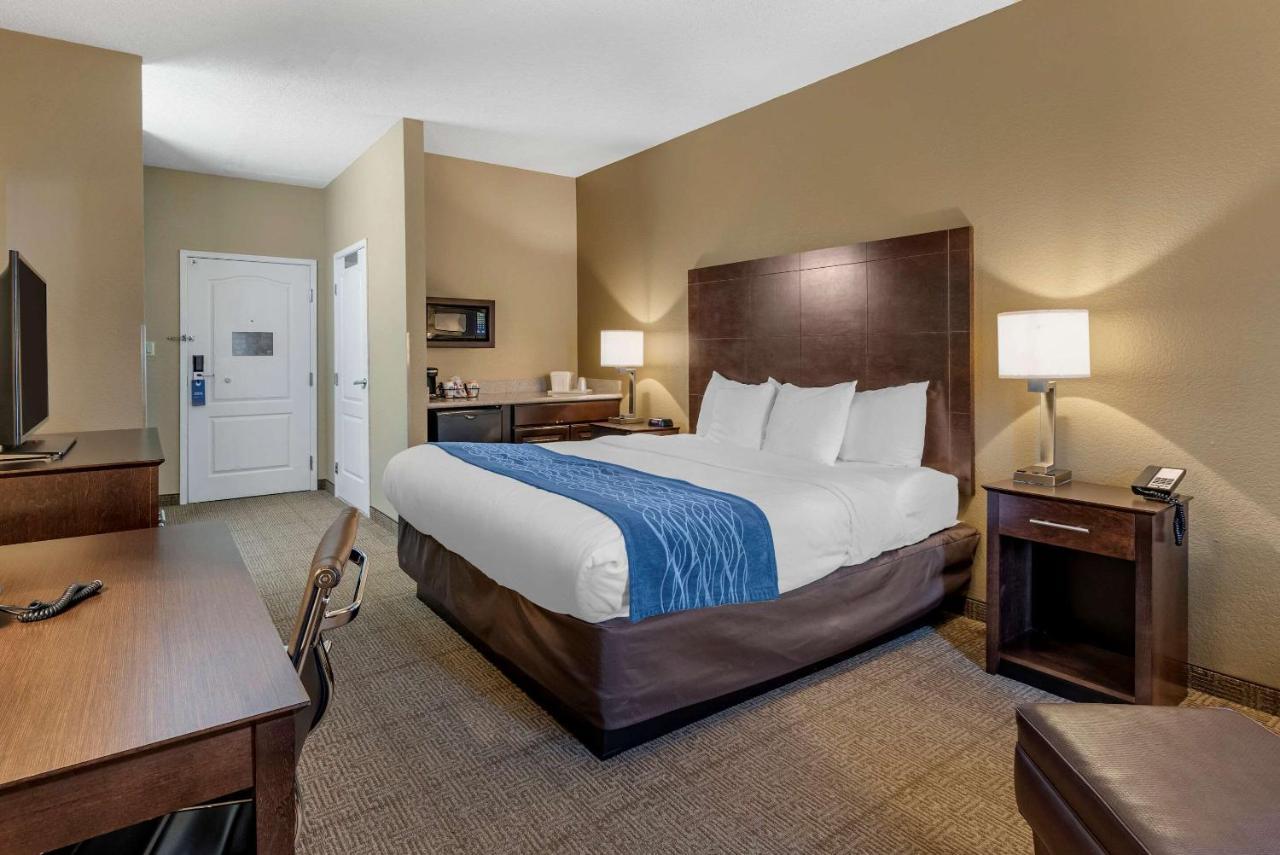 Comfort & - Benton Hotel Bryant